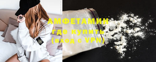 молекула духа Алексин