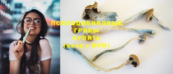 крисы Алексеевка