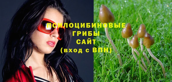 молекула духа Алексин