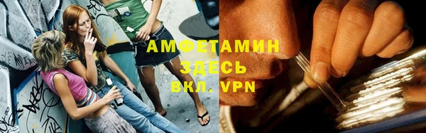 молекула духа Алексин