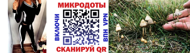 Псилоцибиновые грибы мухоморы Жиздра