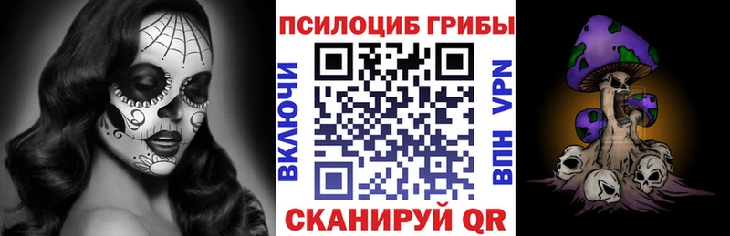 площадка какой сайт  Жиздра  Галлюциногенные грибы Cubensis 